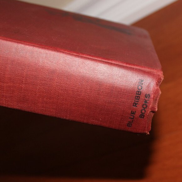 The Son Of The Grand Eunuch Charles Pettit 1927 Eighth printing Blue Ribbon Book - Picture 5 of 15